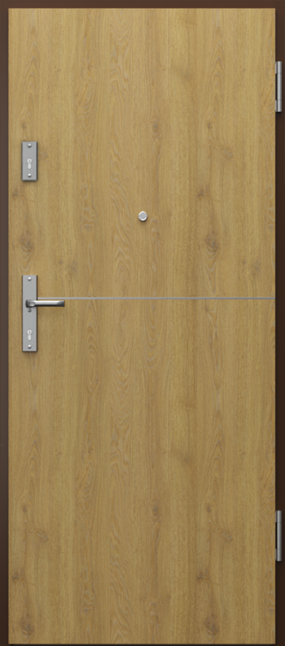 Uși de interior pentru intrare în apartament EXTREME RC4 model cu inserții 7