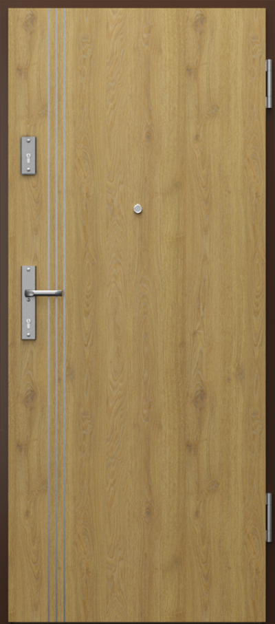 Uși de interior pentru intrare în apartament EXTREME RC4 model cu inserții 3