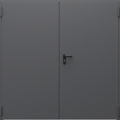 Technical doors Steel EI 30 double  Premium polyester paint ***** Anthracite Structure