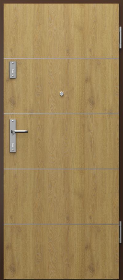 Uși de interior pentru intrare în apartament EXTREME RC4 model cu inserții 6